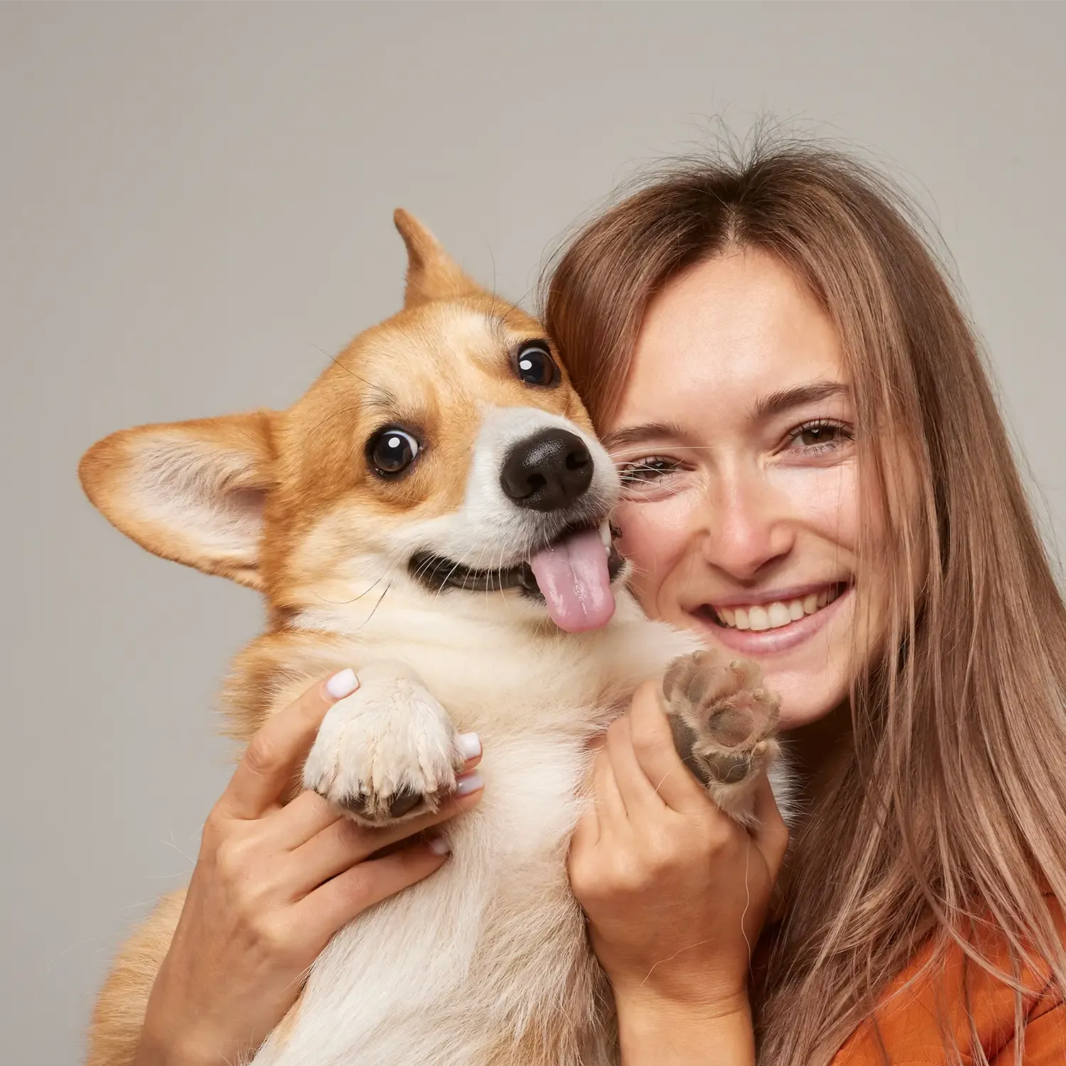 Seguro para perros